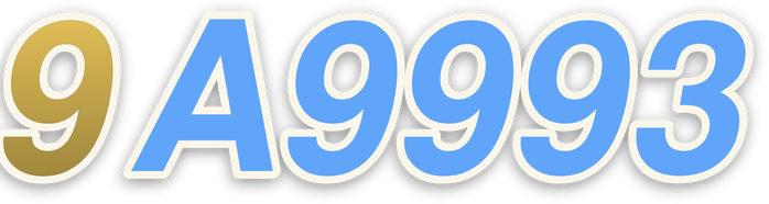 9a9993